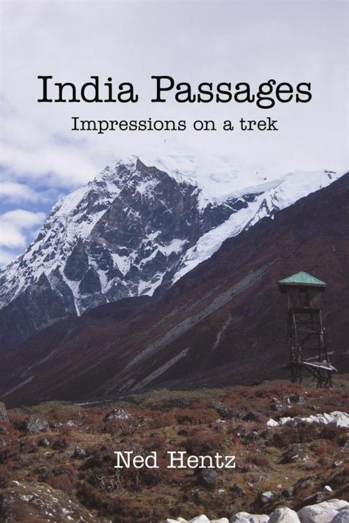 Cover of the book India Passages by Ned Hentz, iUniverse