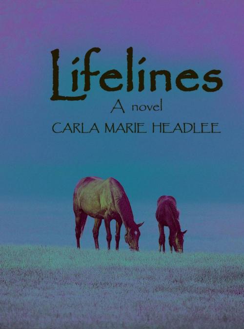 Cover of the book Lifelines by Carla Marie Headlee, iUniverse