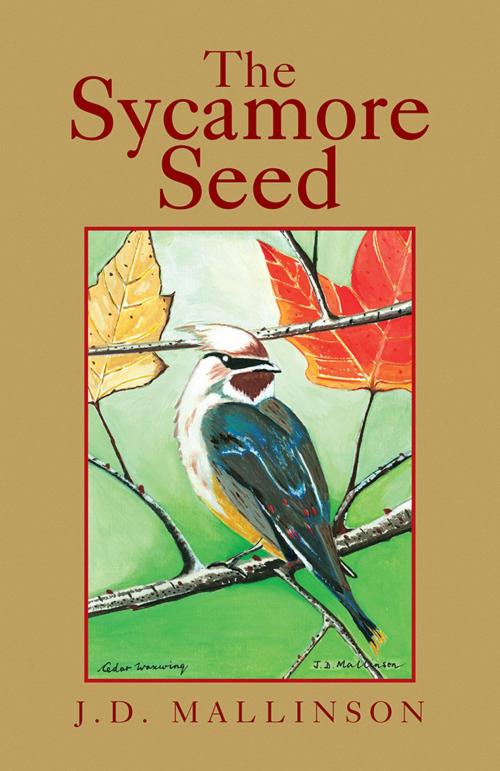 Cover of the book The Sycamore Seed by J.D. MALLINSON, Xlibris US