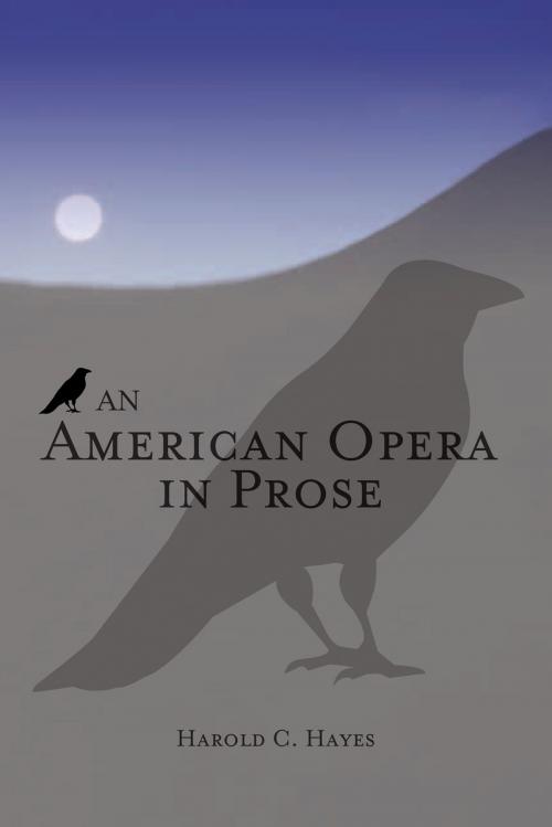 Cover of the book An American Opera in Prose by Harold C. Hayes, Xlibris US