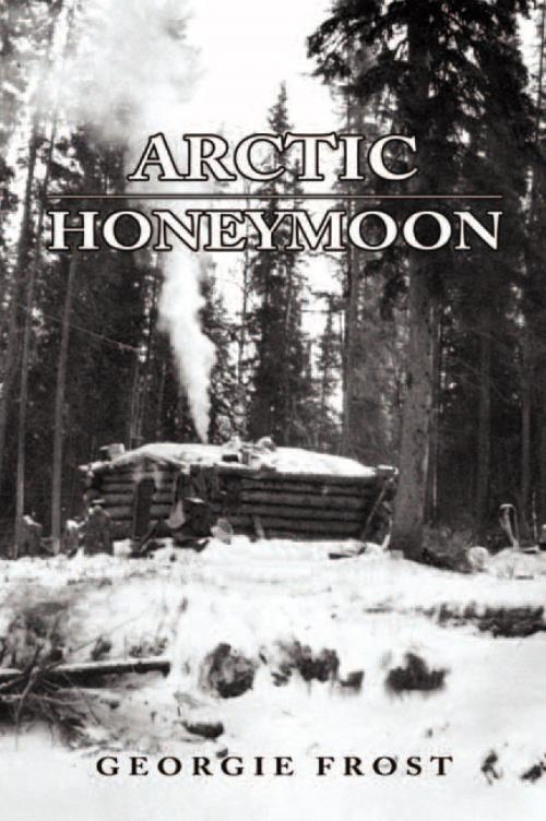 Cover of the book Arctic Honeymoon by Georgie Frost, Xlibris US