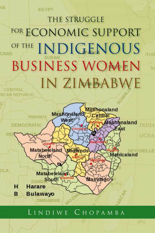 Cover of the book The Struggle for Economic Support of the Indigenous Business Women in Zimbabwe by Lindiwe Chopamba, Xlibris US