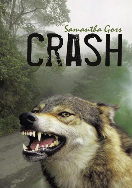 Cover of the book Crash by Samantha Goss, iUniverse