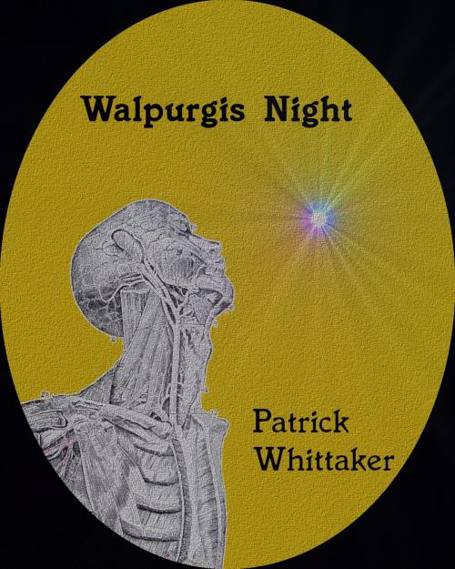 Cover of the book Walpurgis Night by Patrick Whittaker, Patrick Whittaker