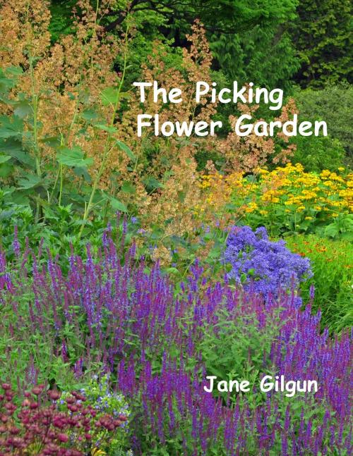 Cover of the book The Picking Flower Garden by Jane Gilgun, Jane Gilgun