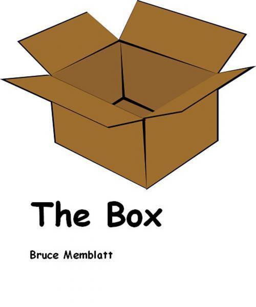 Cover of the book The Box by Bruce Memblatt, Bruce Memblatt