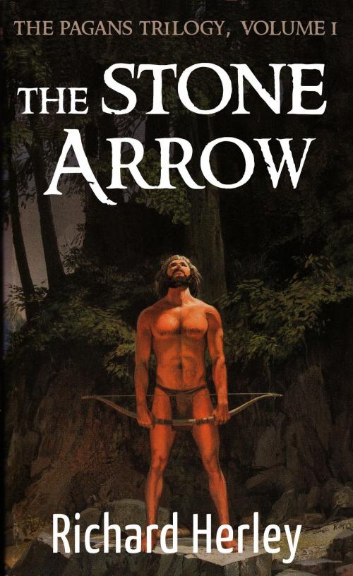 Cover of the book The Stone Arrow by Richard Herley, Richard Herley
