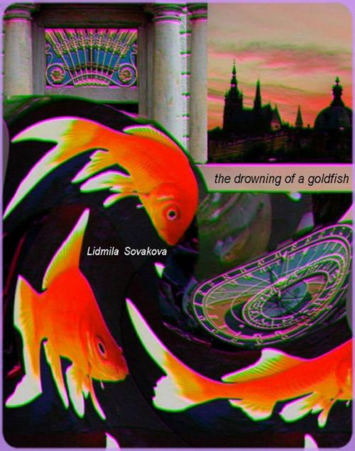 Cover of the book The Drowning of a Goldfish: Redux by Lidmila Sovakova, Lidmila Sovakova