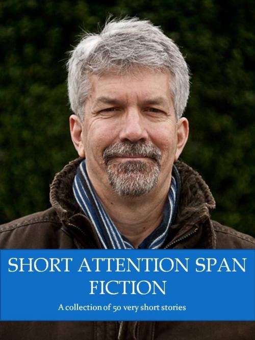 Cover of the book Short Attention Span Fiction Volume One by James Dillingham, James Dillingham