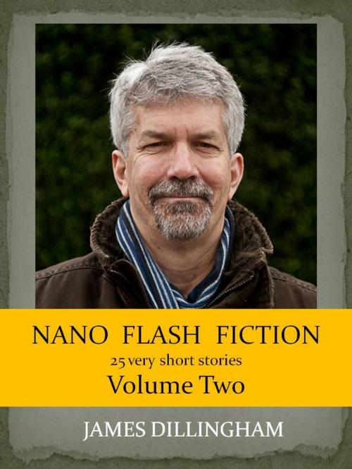 Cover of the book Nano Flash Fiction Volume Two by James Dillingham, James Dillingham
