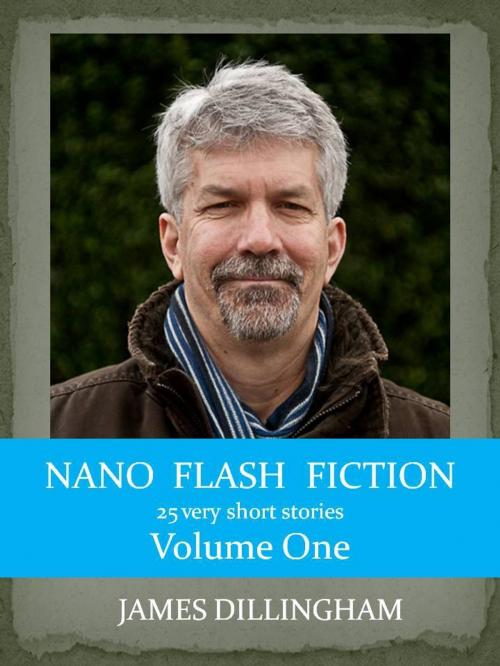 Cover of the book Nano Flash Fiction Volume One by James Dillingham, James Dillingham