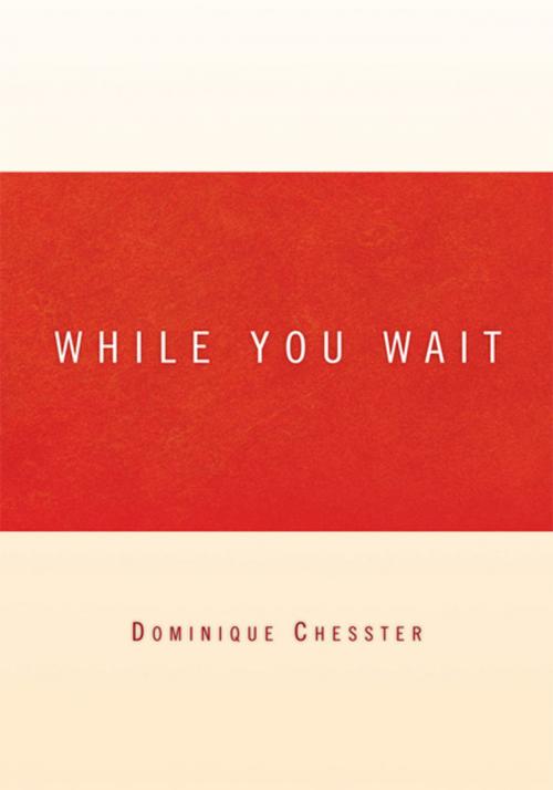 Cover of the book While You Wait by Dominique Chesster, Xlibris US