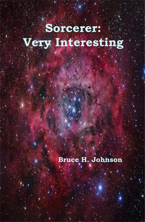 Cover of the book Sorcerer: Very Interesting by Bruce H Johnson, Bruce H Johnson