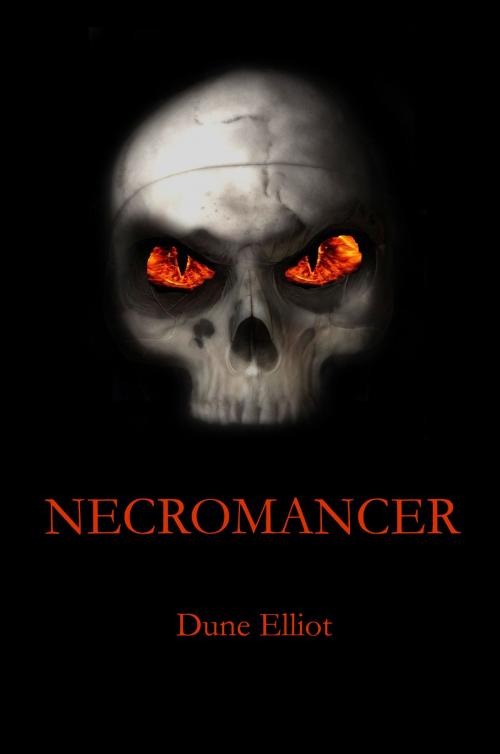 Cover of the book Necromancer by Dune Elliot, Dune Elliot