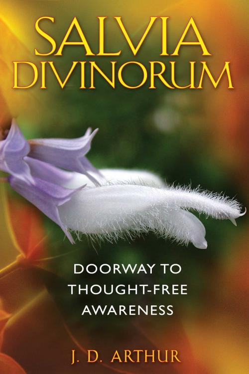 Cover of the book Salvia Divinorum by J. D. Arthur, Inner Traditions/Bear & Company