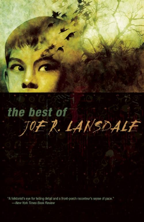 Cover of the book The Best of Joe R. Lansdale by Joe R Lansdale, Tachyon Publications