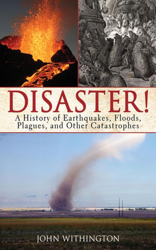 Cover of the book Disaster! by John Withington, Skyhorse Publishing