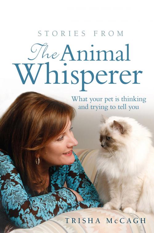 Cover of the book Stories from the Animal Whisperer by Trisha McCagh, Allen & Unwin