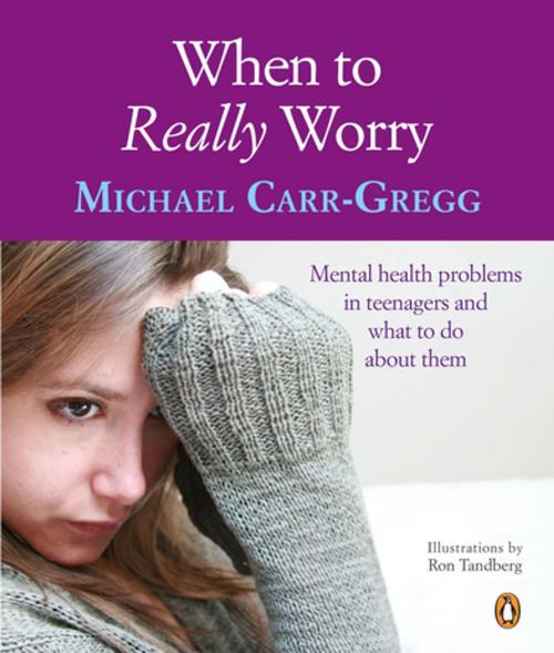 Cover of the book When to Really Worry by Michael Carr-Gregg, Penguin Random House Australia