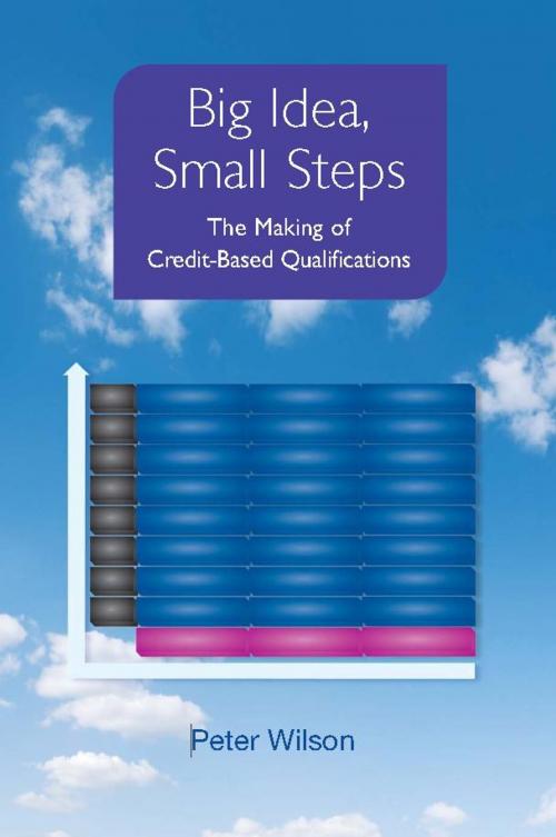 Cover of the book Big Idea, Small Steps: The Making of Credit-Based Qualifications by Peter Wilson, National Institute of Adult Continuing Education (NIACE)