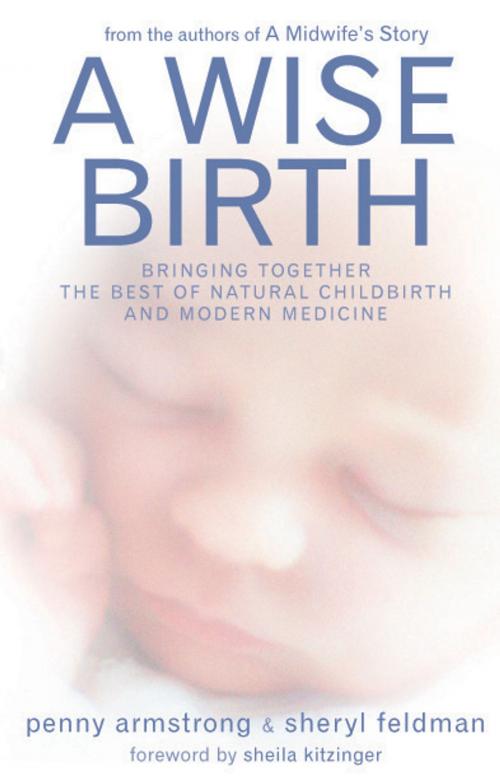 Cover of the book A Wise Birth by Penny Armstrong, Sheryl Feldman, Pinter & Martin