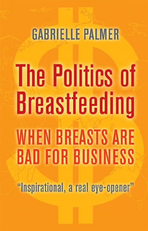 Cover of the book The Politics of Breastfeeding: when breasts are bad for business by Gabrielle Palmer, Pinter & Martin