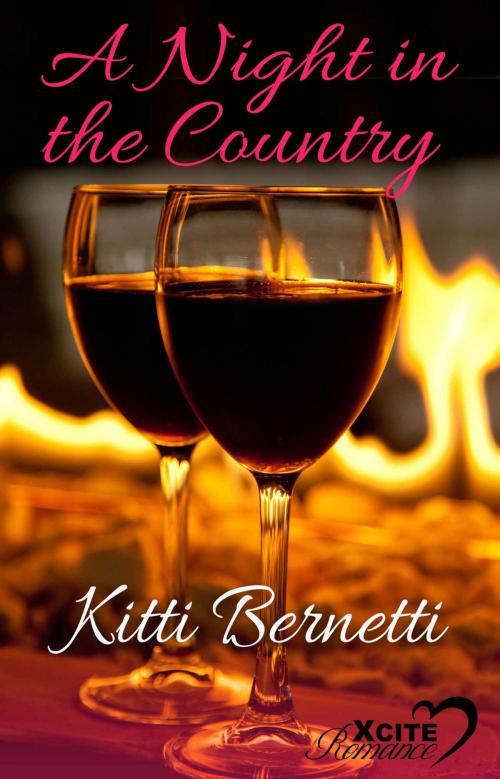 Cover of the book A Night in the Country by Kitti Bernetti, Xcite Books