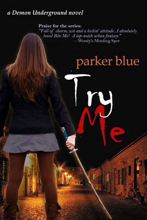 Cover of the book Try Me by Parker Blue, BelleBooks Inc.