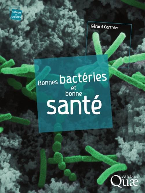 Cover of the book Bonnes bactéries et bonne santé by Gérard Corthier, Quae