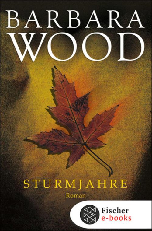 Cover of the book Sturmjahre by Barbara Wood, FISCHER E-Books