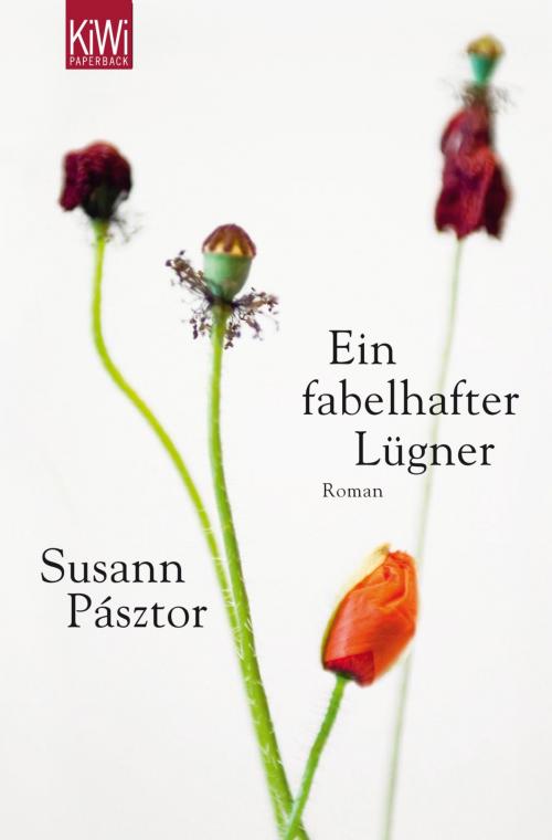 Cover of the book Ein fabelhafter Lügner by Susann Pásztor, Kiepenheuer & Witsch eBook