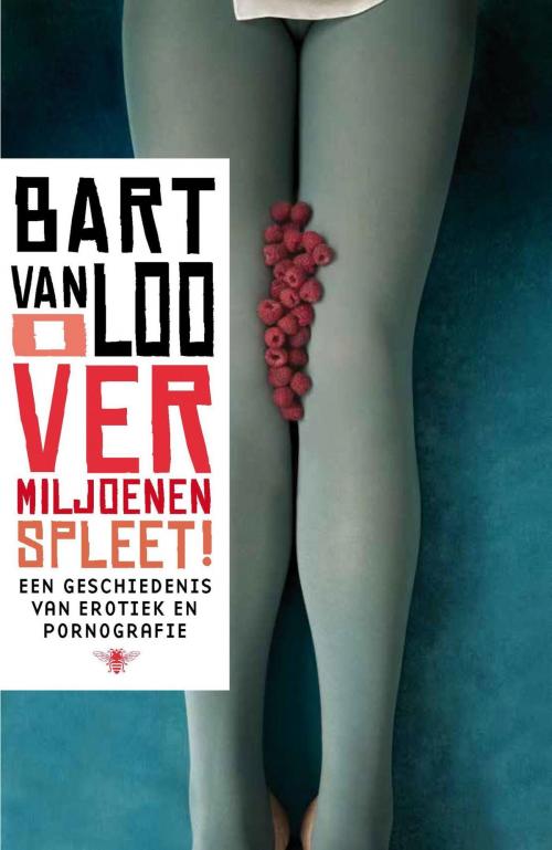 Cover of the book O vermiljoenen spleet by Bart Van Loo, Bezige Bij b.v., Uitgeverij De