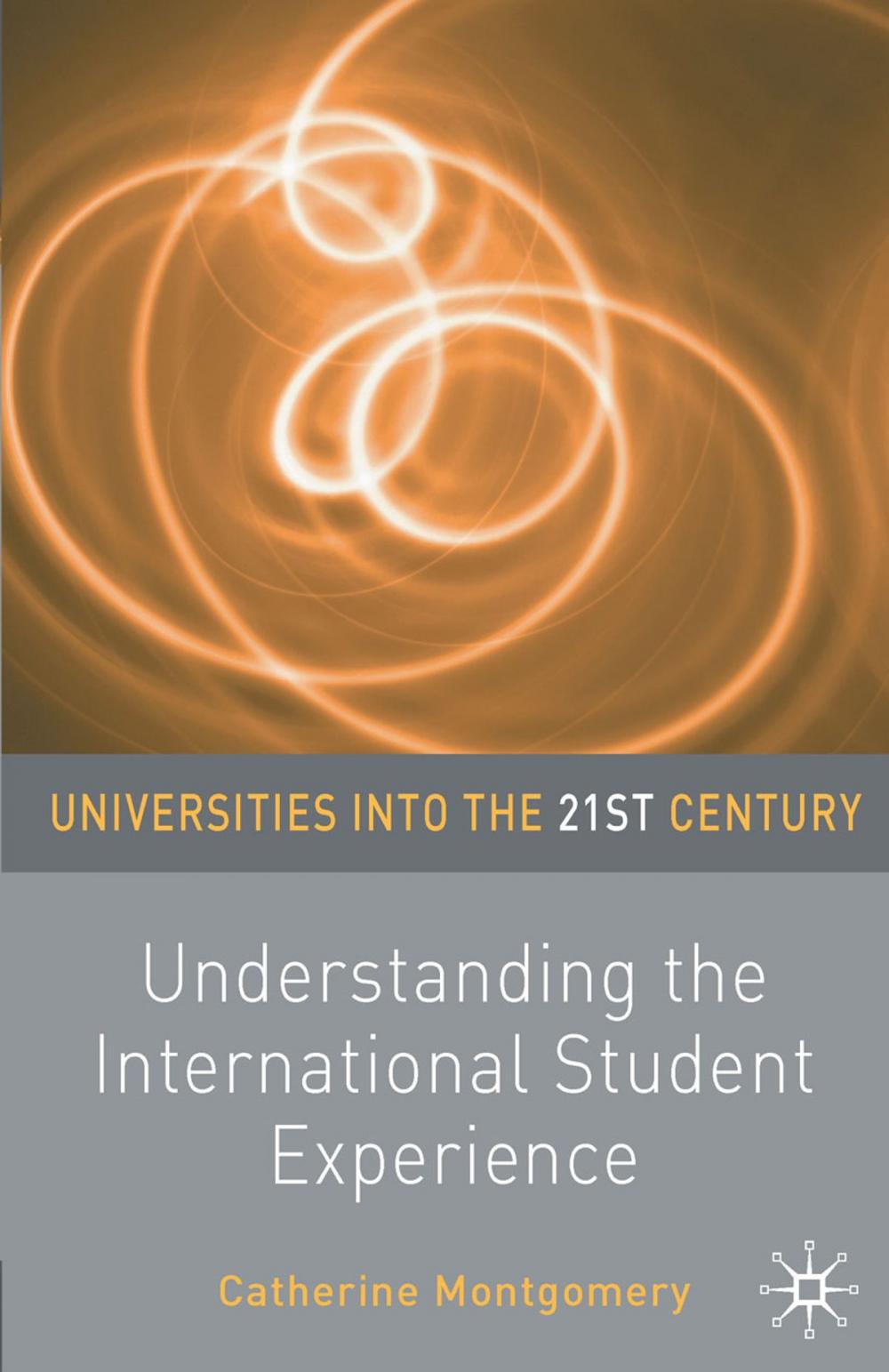 Big bigCover of Understanding the International Student Experience