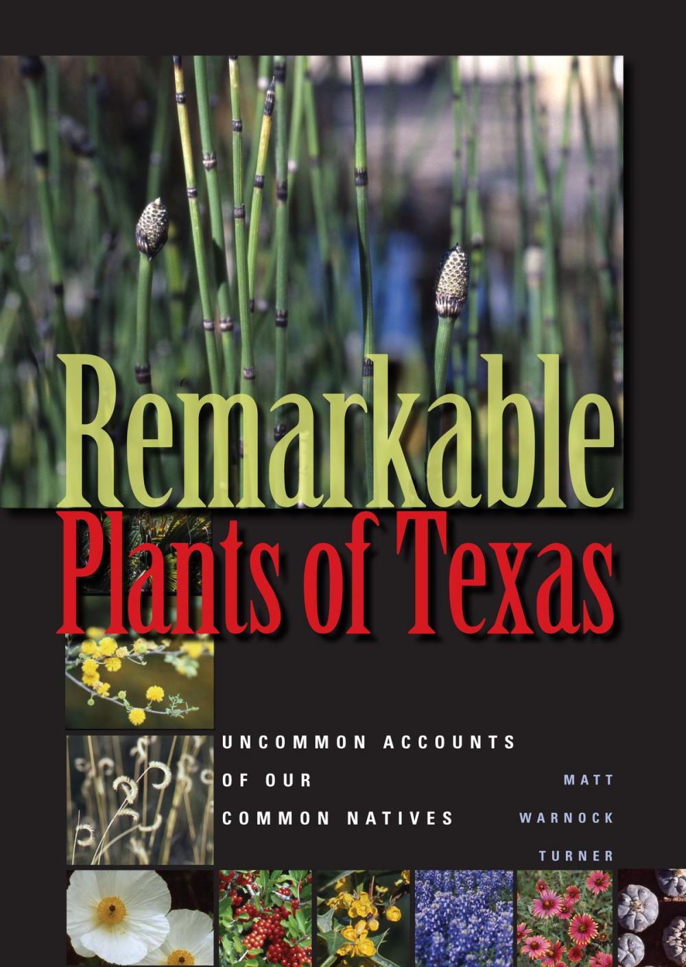 Big bigCover of Remarkable Plants of Texas