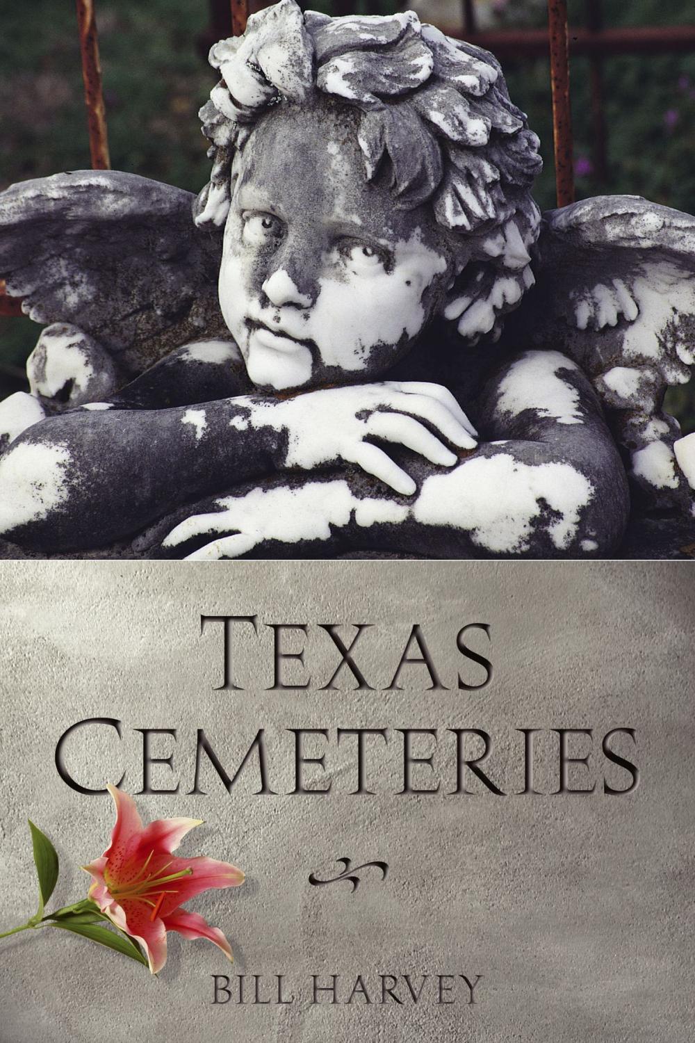 Big bigCover of Texas Cemeteries