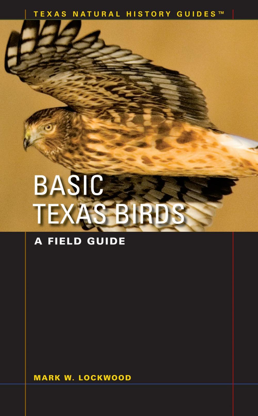 Big bigCover of Basic Texas Birds