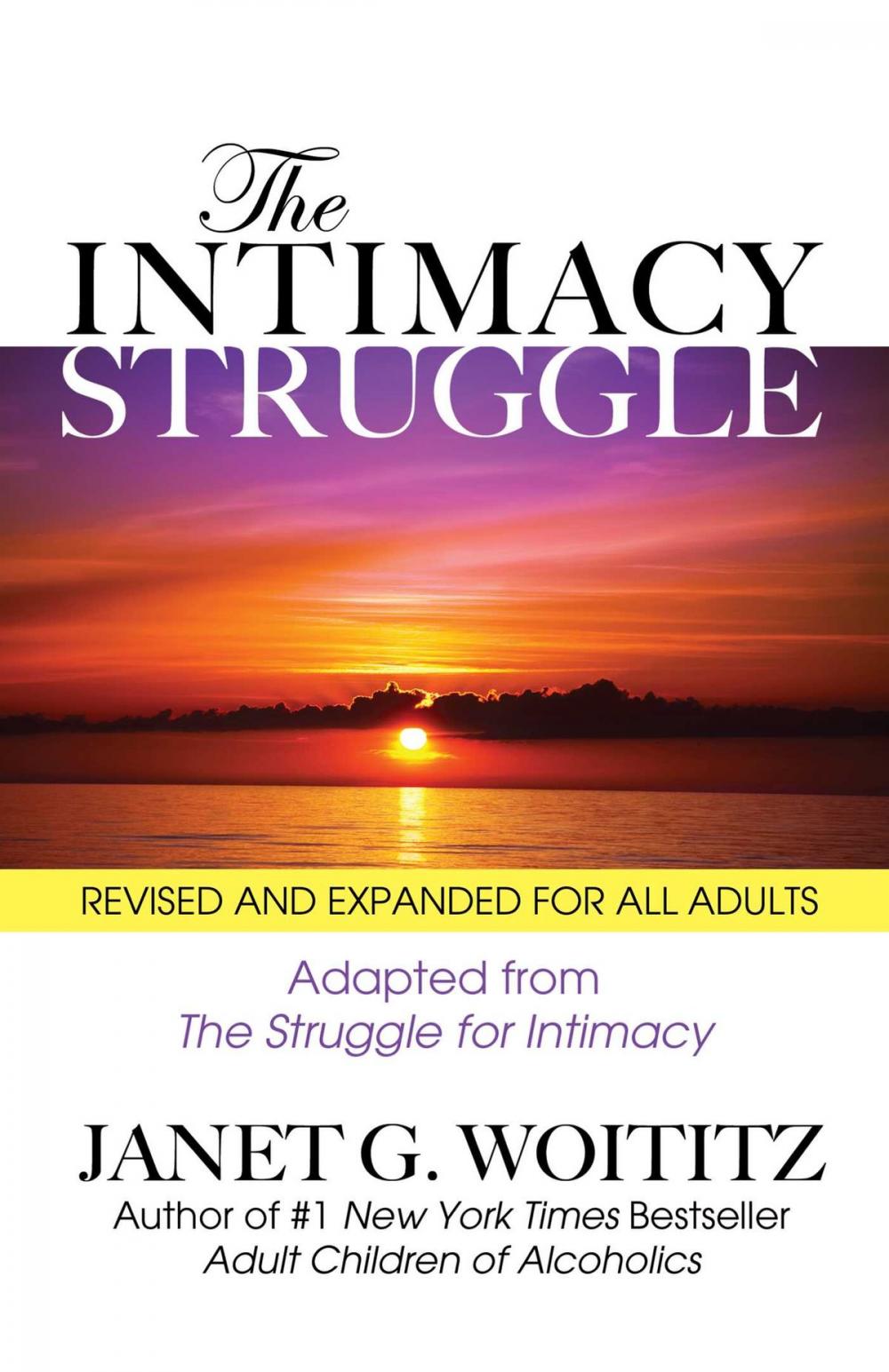Big bigCover of The Intimacy Struggle