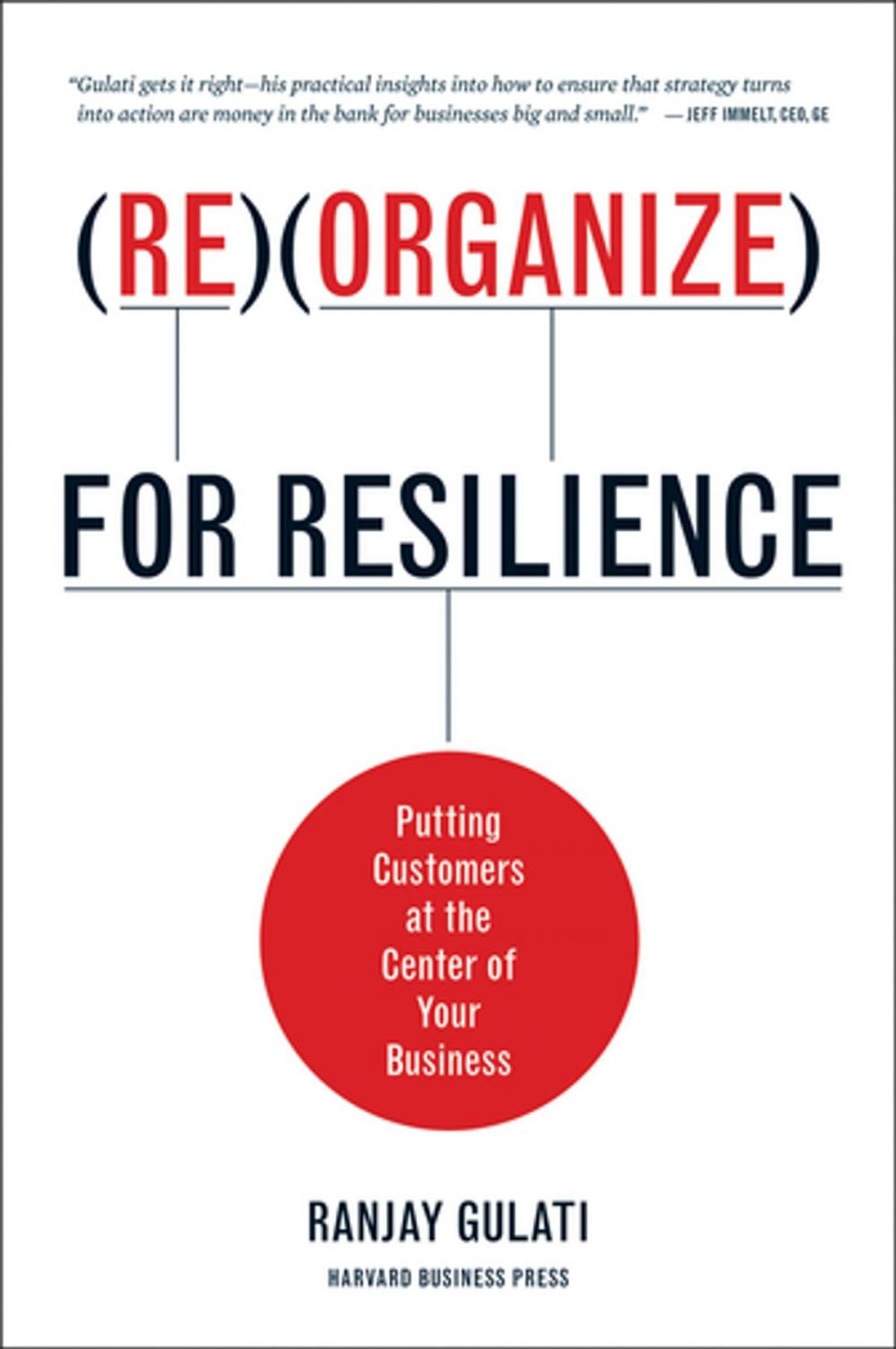 Big bigCover of Reorganize for Resilience