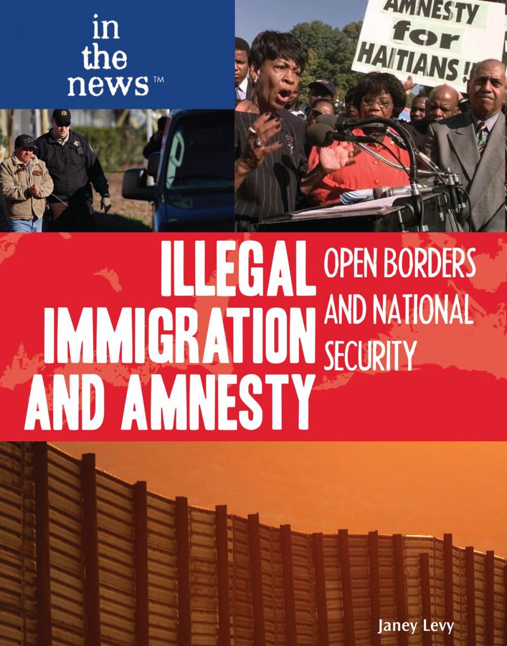 Big bigCover of Illegal Immigration and Amnesty