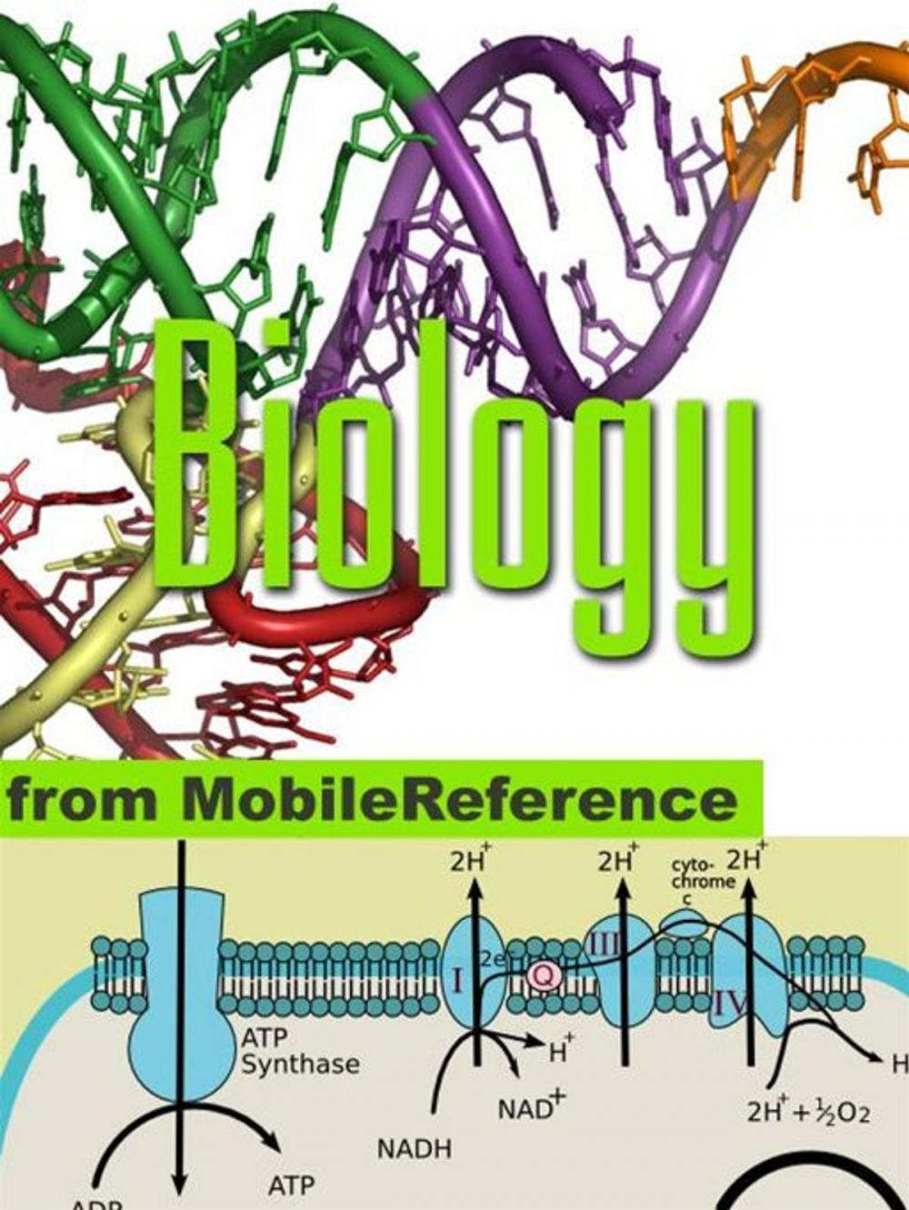 Big bigCover of Biology Study Guide: Prokaryotes, Archaea, Eukaryotes, Viruses, Reproduction, Mendelian Genetics, Molecular Biology, Cell Signaling, Human Anatomy, Chemical Review (Mobi Study Guides)