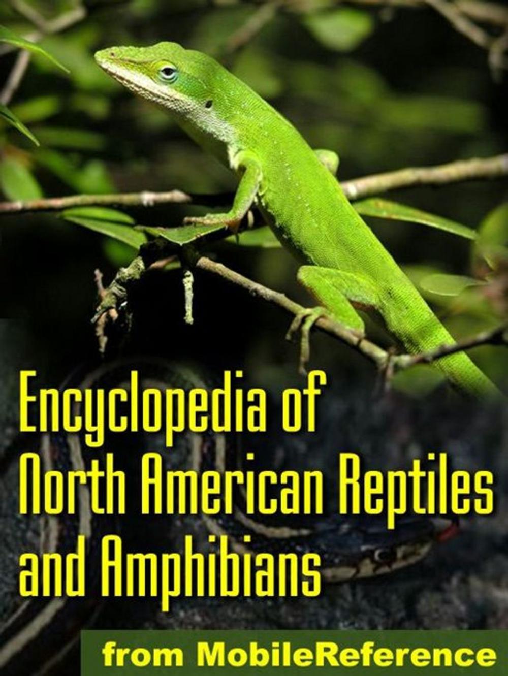 Big bigCover of The Illustrated Encyclopedia Of North American Reptiles And Amphibians: An Essential Guide To Reptiles And Amphibians Of Usa, Canada, And Mexico (Mobi Reference)
