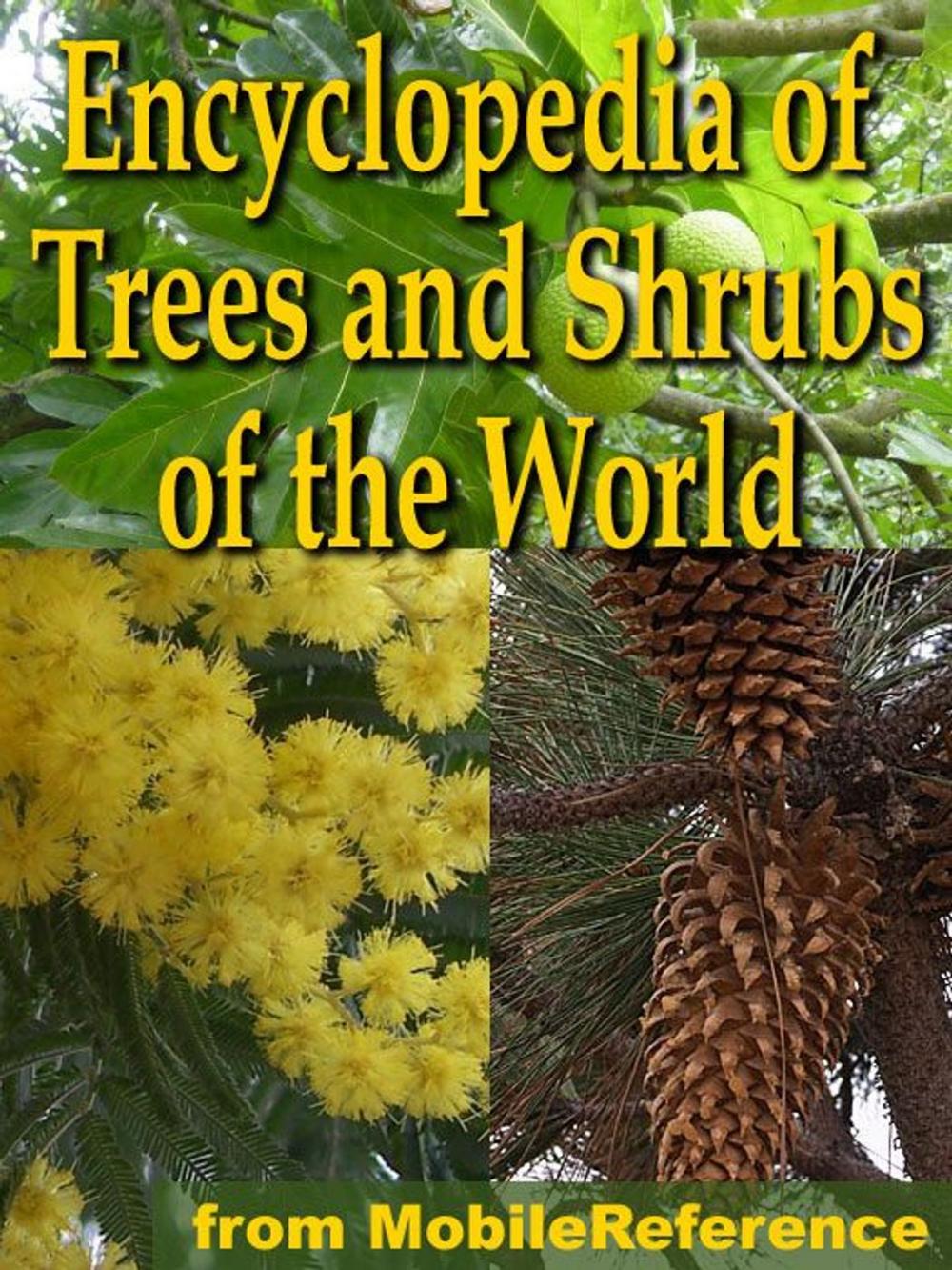 Big bigCover of The Illustrated Encyclopedia Of Trees And Shrubs: An Essential Guide To Trees And Shrubs Of The World (Mobi Reference)