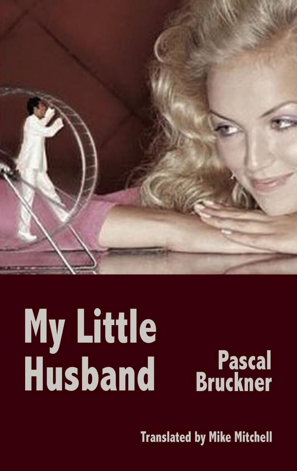 Big bigCover of My Little husband