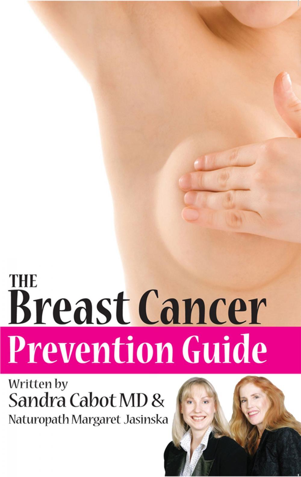 Big bigCover of Breast Cancer Prevention Guide