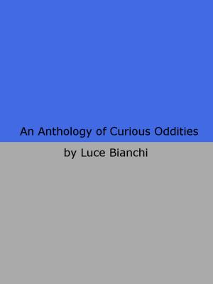 Cover of the book An Anthology of Curious Oddities by SR Silcox