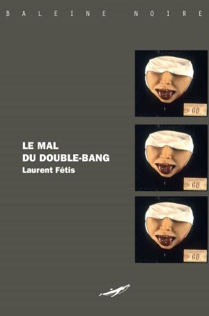 Cover of the book Le Mal du double bang by Guillaume Nicloux