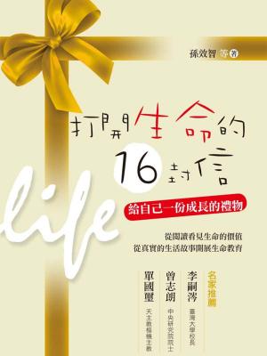 Cover of the book 打開生命的16封信 by Aaron Garrison