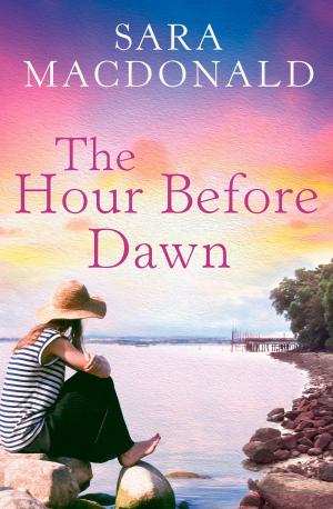 Cover of the book The Hour Before Dawn by Margaret McHeyzer