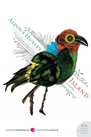 Cover of the book Island by Gretchen Morgenson