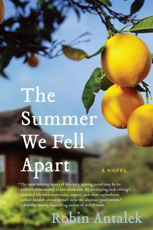 Book cover of The Summer We Fell Apart